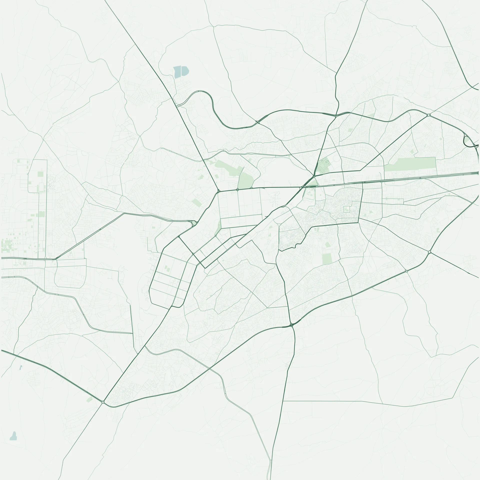 The Forest Collection